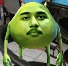slug